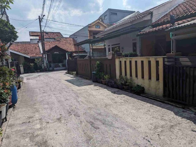 place photo 12