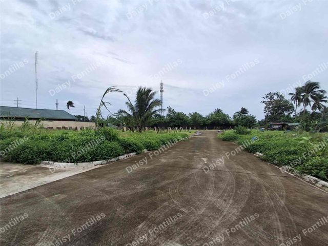 place photo 12