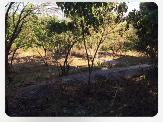 Antipolo Residential Lot For Sale