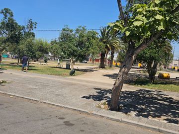 place photo 16