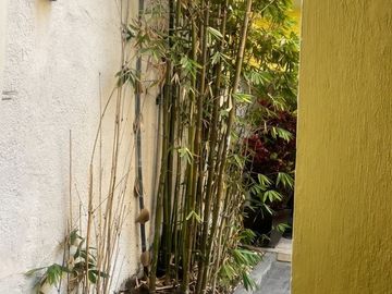 place photo 32
