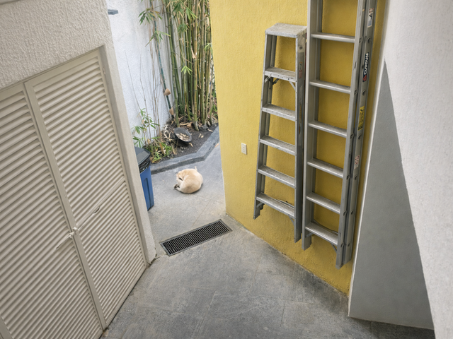 place photo 63
