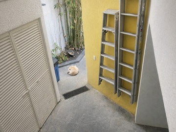 place photo 58