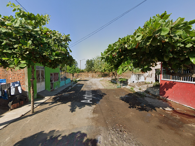 place photo 8