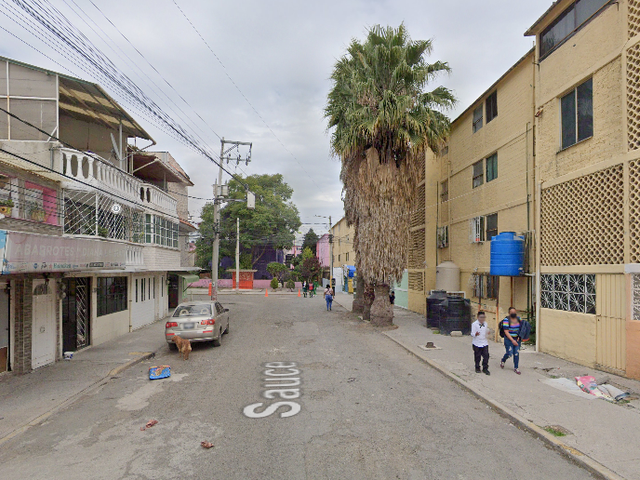 place photo 8