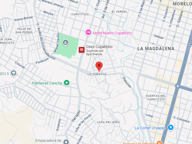 place photo 12