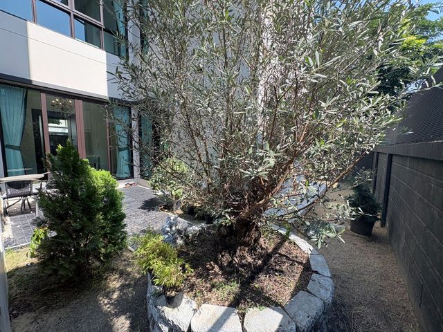 place photo 27