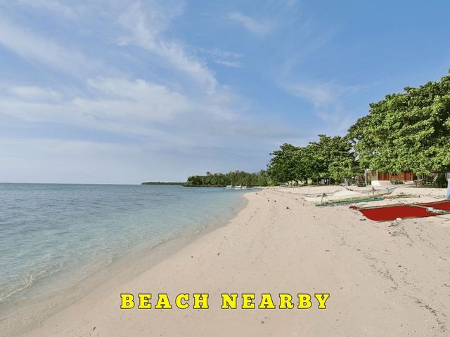 place photo 15