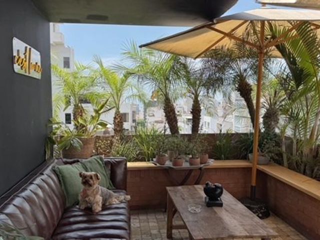 place photo 8