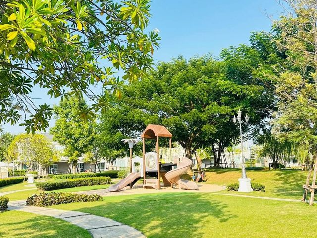 place photo 29