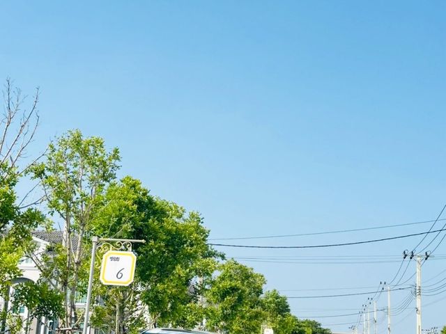 place photo 26