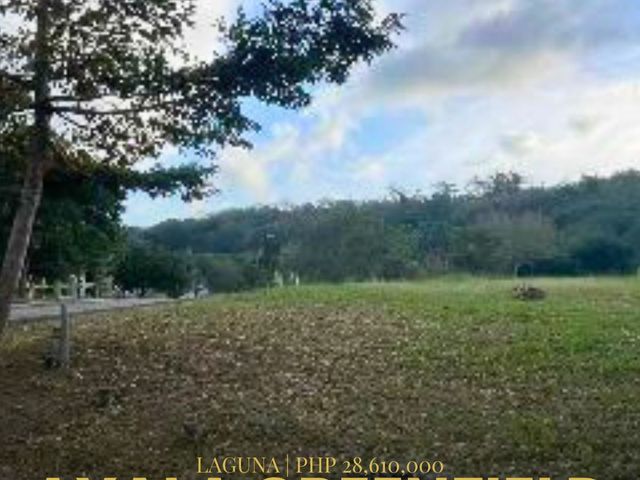 Ayala Greenfield Estates Corner Lot for Sale in Calamba, Laguna