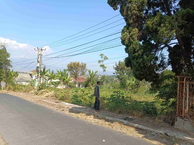 place photo 8