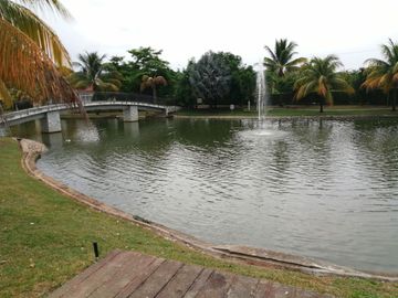 place photo 32