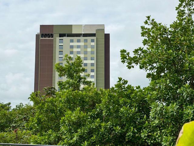 place photo 21