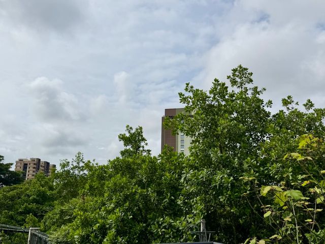 place photo 43