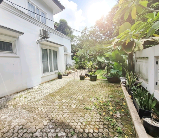 place photo 23