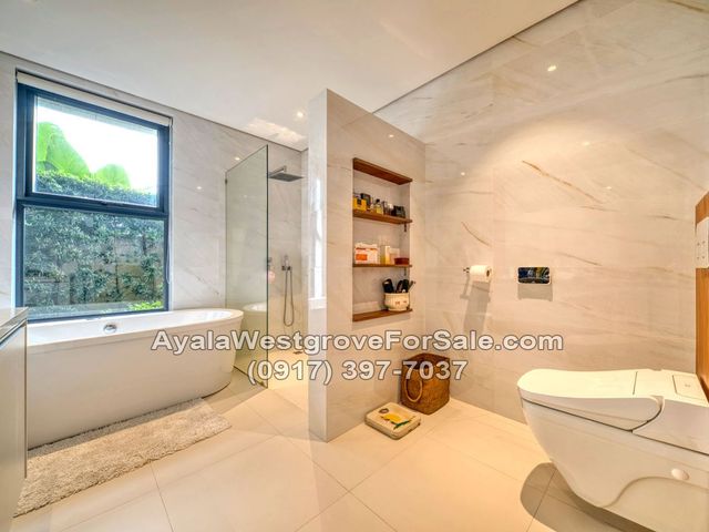 place photo 61