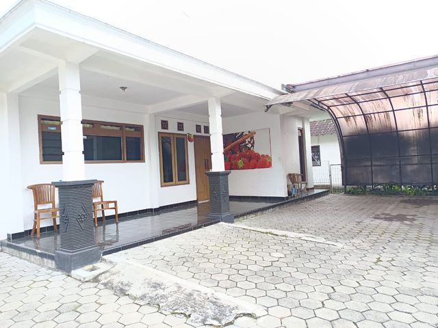 place photo 6