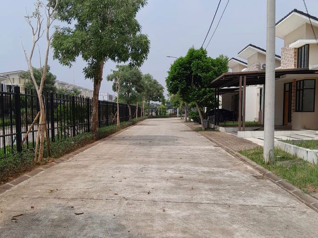 place photo 7