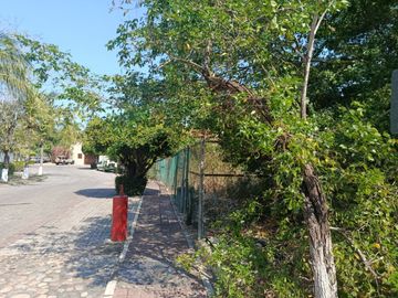 place photo 6