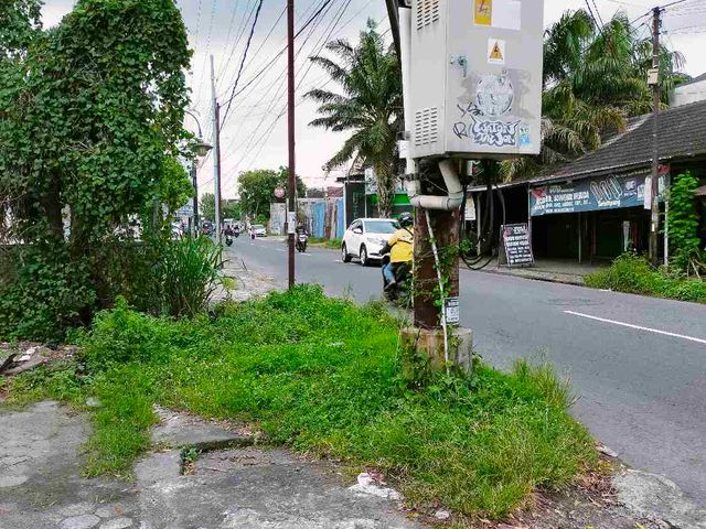 place photo 2
