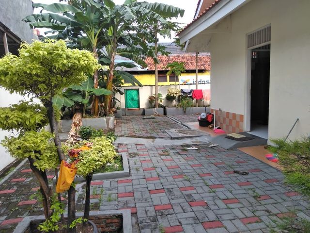 place photo 10