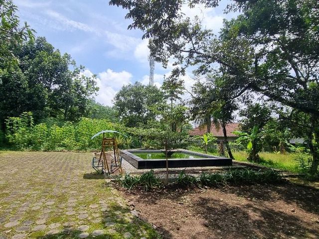 place photo 22