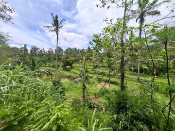 Tanah dijual di Senganan