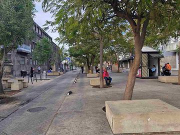 place photo 22