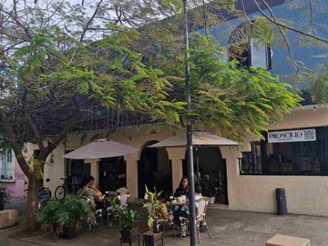 place photo 26