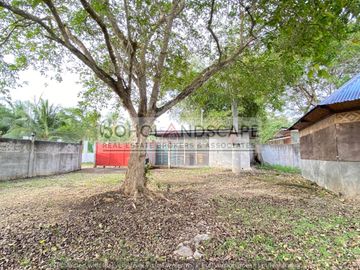 place photo 57