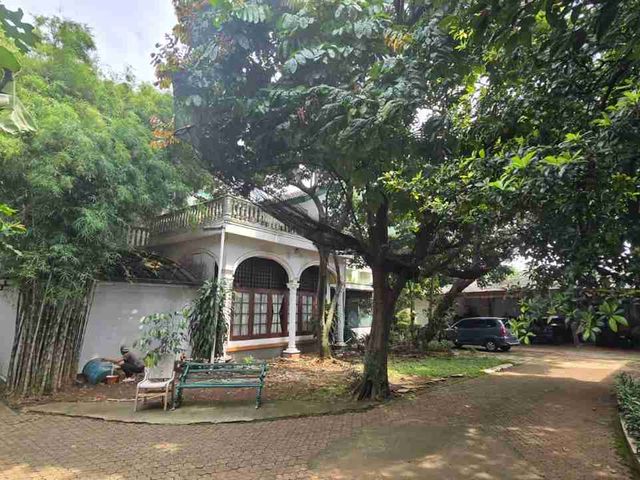 place photo 11