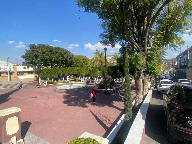 place photo 30