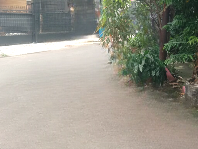 place photo 16