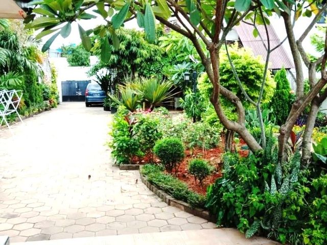 place photo 35