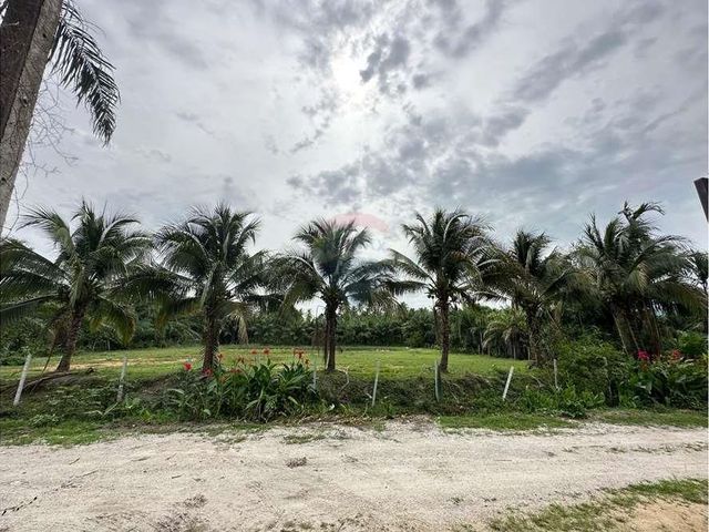 place photo 24