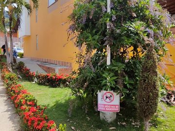 place photo 23