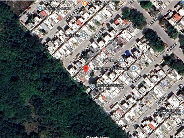 place photo 4