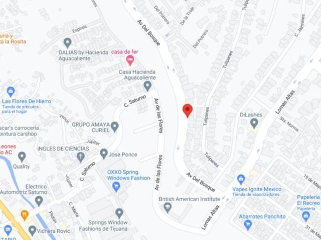 place photo 9