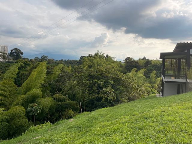 place photo 40