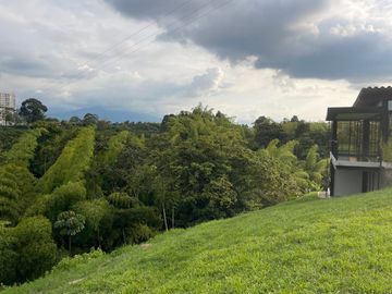 place photo 40