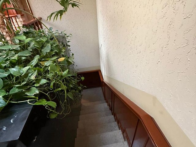 place photo 56