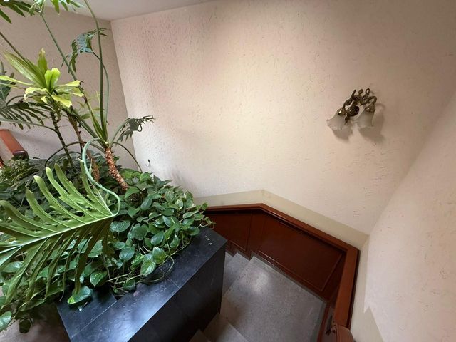 place photo 51