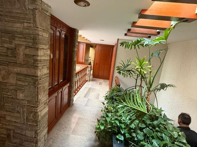 place photo 54
