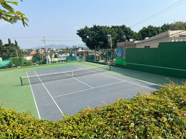 place photo 7