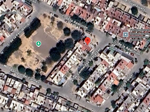 place photo 13