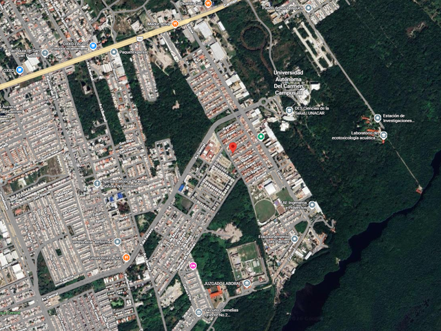 place photo 12