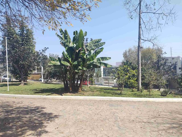 place photo 27