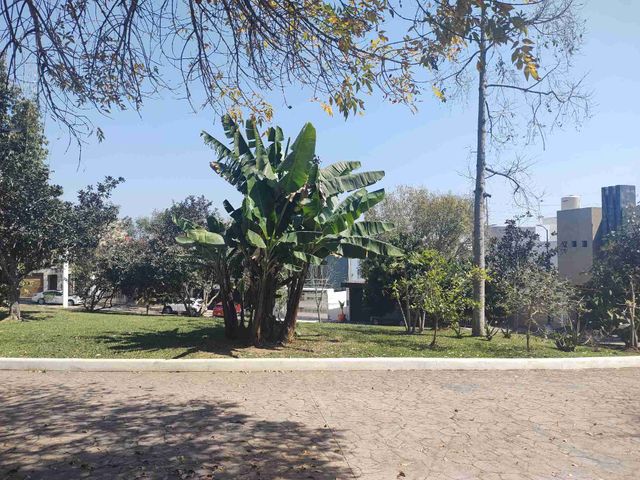 place photo 34